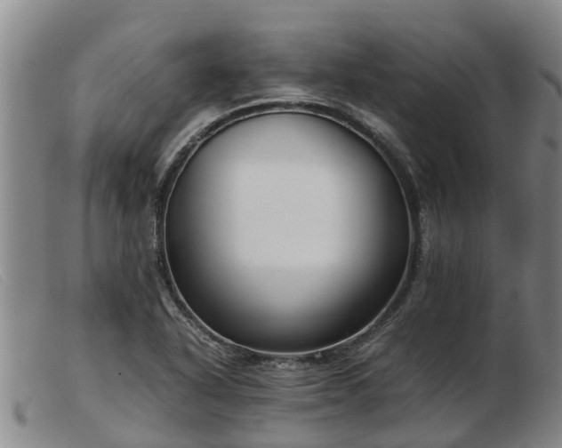 X0000103411318200809191536