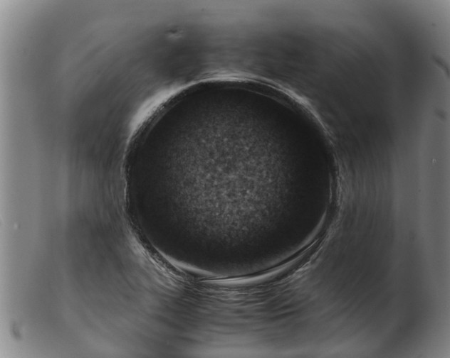 X0000103411319200809191536