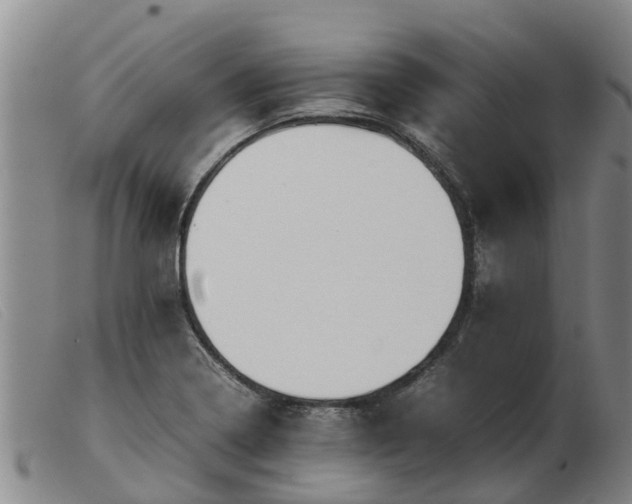 X0000103411322200809191536