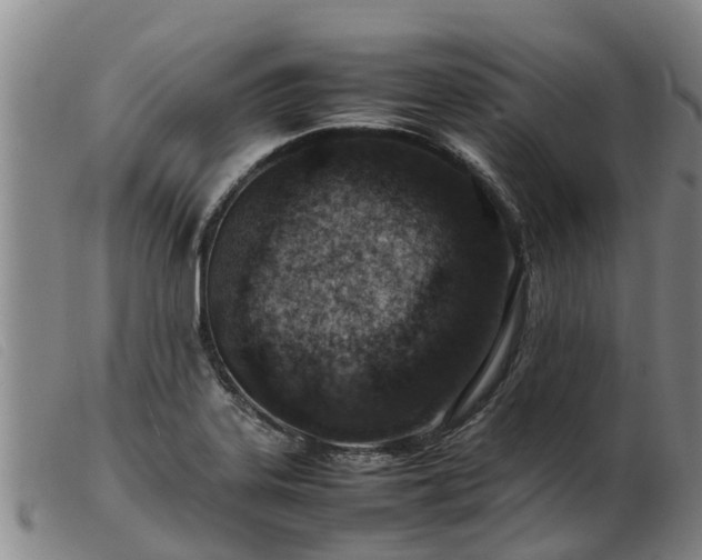 X0000103411323200809191536