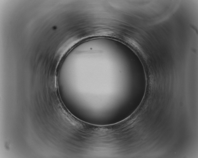 X0000103411324200809191536