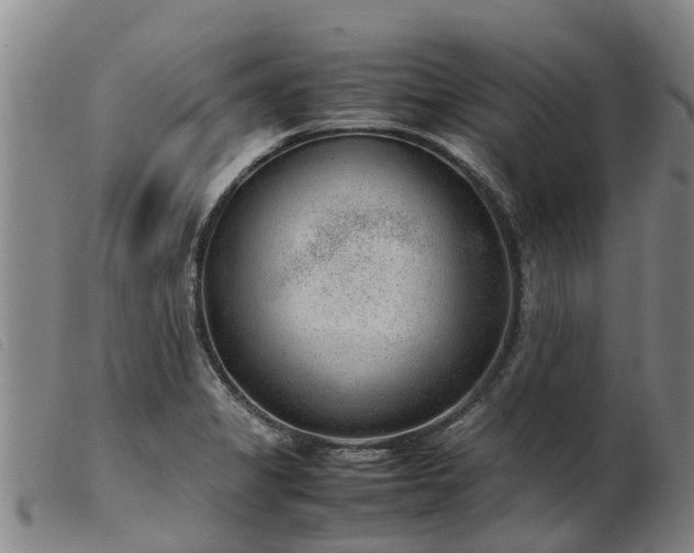 X0000103411325200809191536