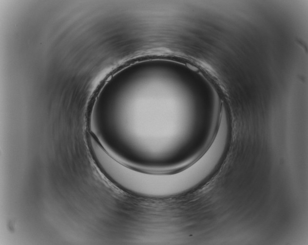 X0000103411326200809191536