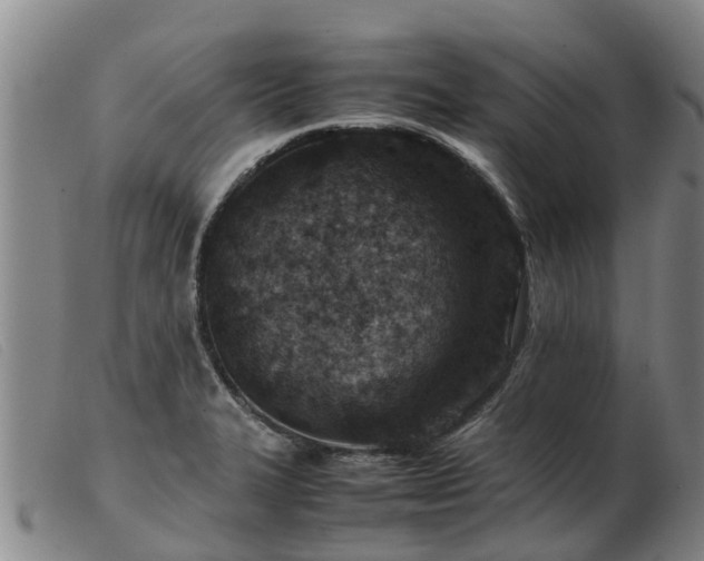 X0000103411327200809191536