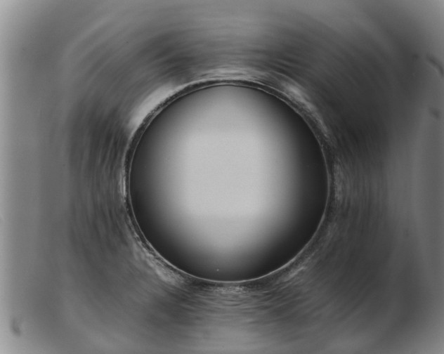 X0000103411328200809191536