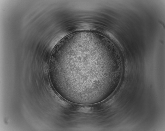 X0000103411329200809191536