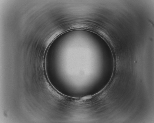 X0000103411330200809191536