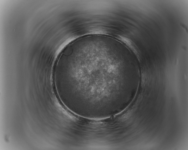 X0000103411331200809191536