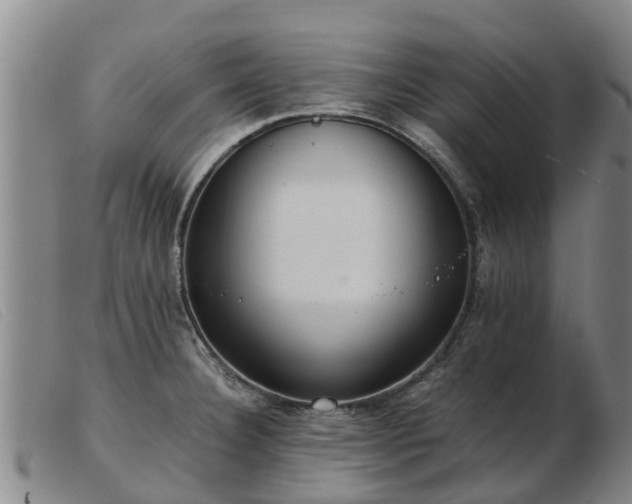 X0000103411332200809191536