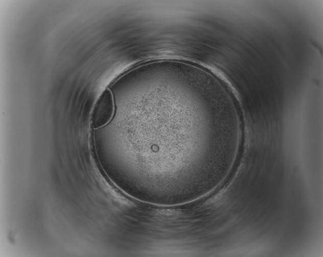 X0000103411333200809191536