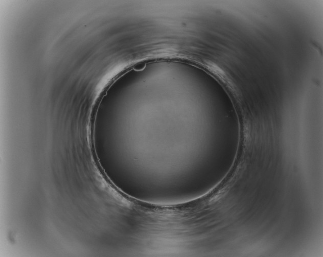 X0000103411334200809191536