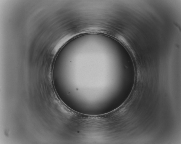 X0000103411336200809191536