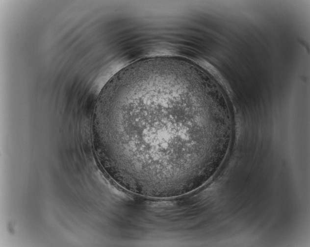 X0000103411337200809191536