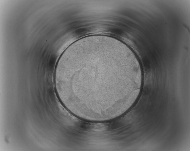 X0000103411338200809191536