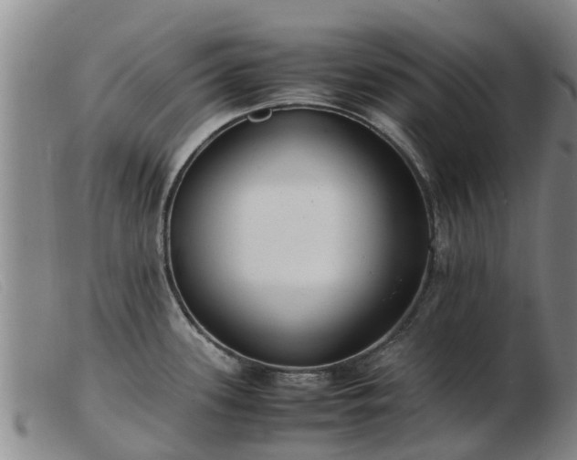 X0000103411339200809191536