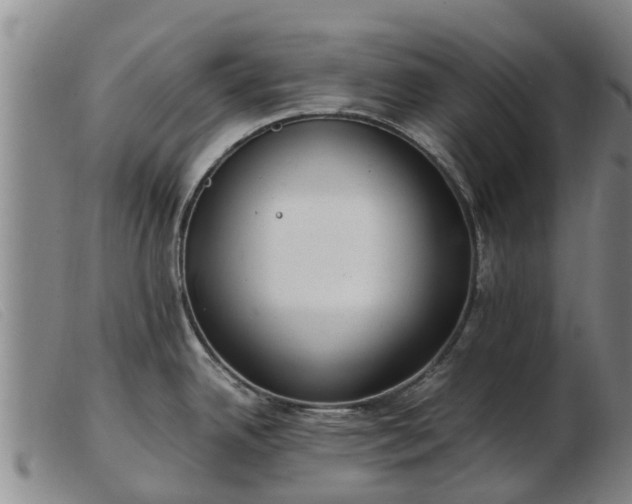 X0000103411342200809191536