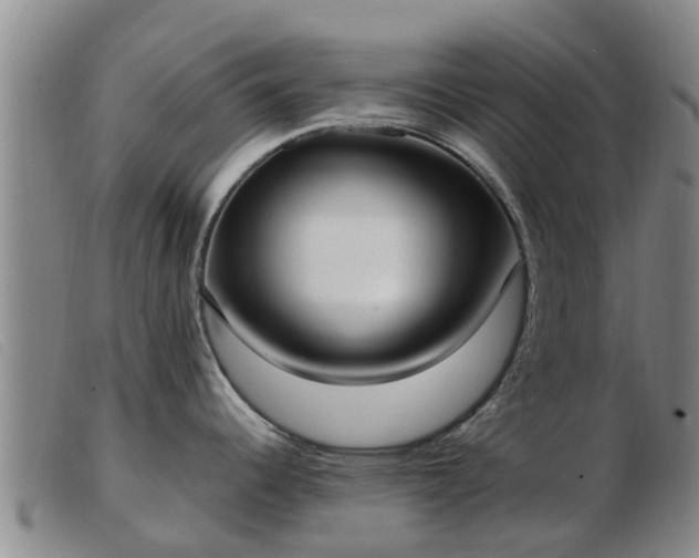 X0000103411344200809191536