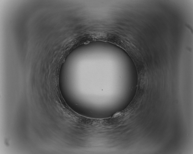 X0000103411345200809191535