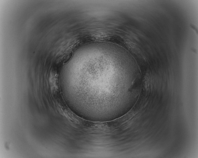 X0000103411346200809191535