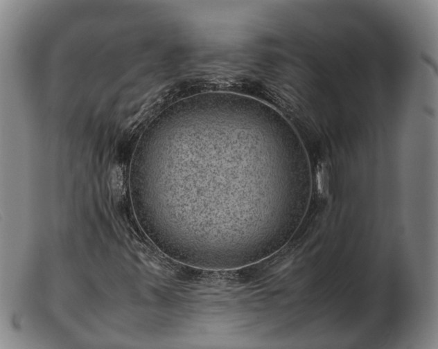 X0000103411347200809191535