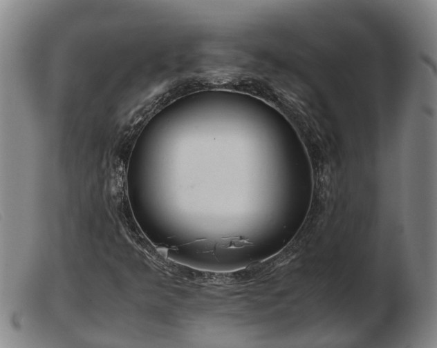 X0000103411349200809191535