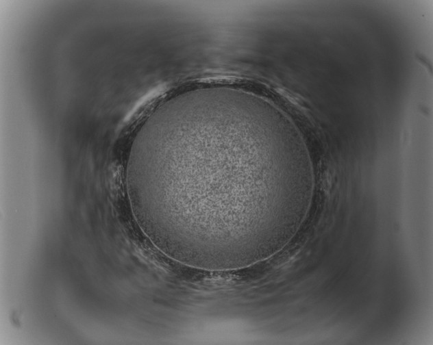 X0000103411351200809191535