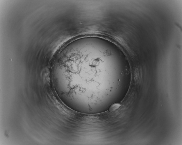 X0000103411356200809191535