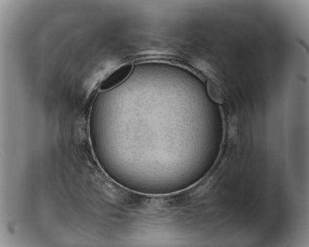 X0000103411357200809191535