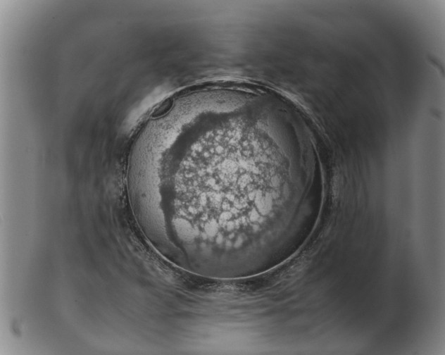 X0000103411359200809191535