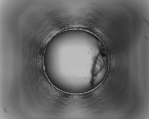 X0000103411361200809191535