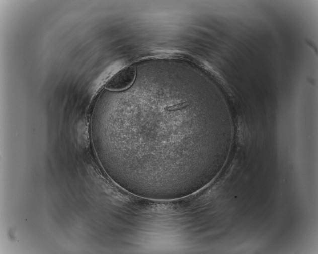 X0000103411362200809191535