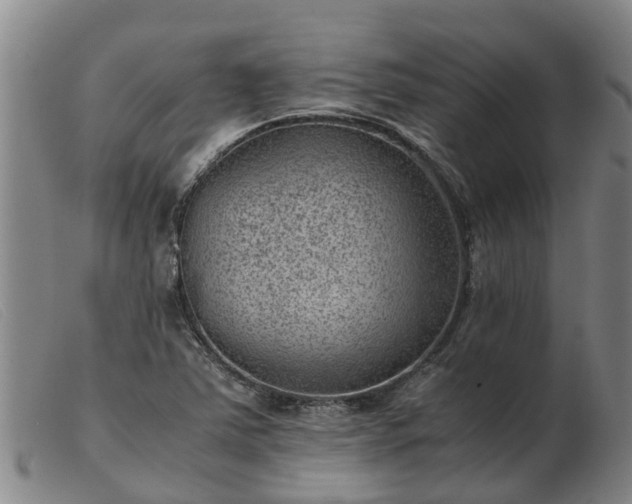 X0000103411363200809191535