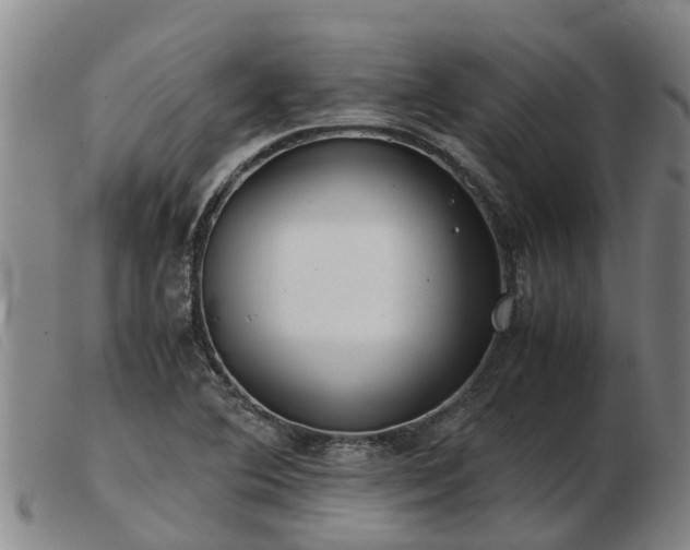 X0000103411364200809191535