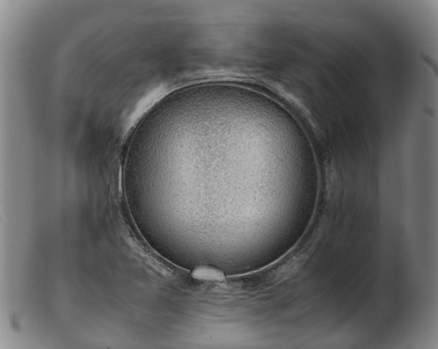 X0000103411365200809191535