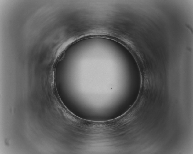 X0000103411366200809191535