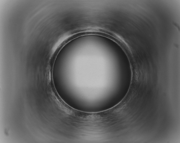 X0000103411368200809191535