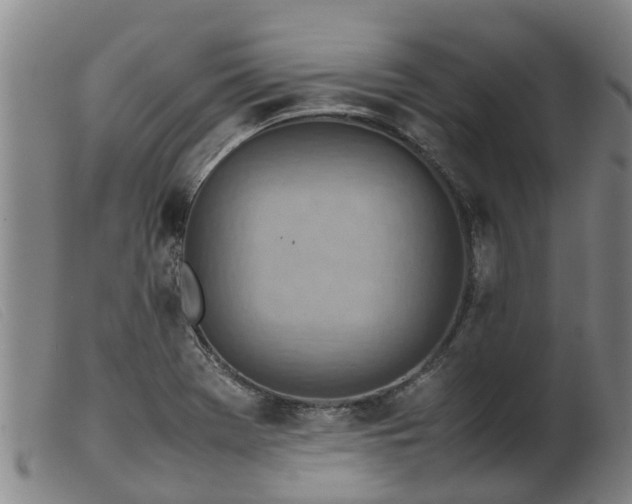 X0000103411369200809191535