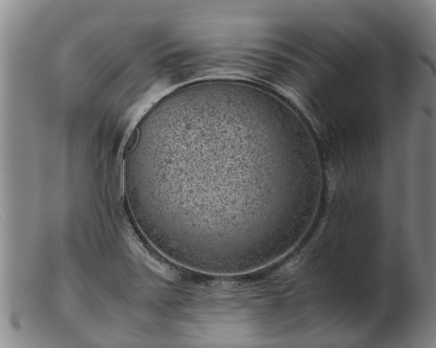 X0000103411371200809191535