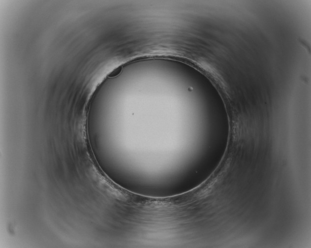 X0000103411374200809191535