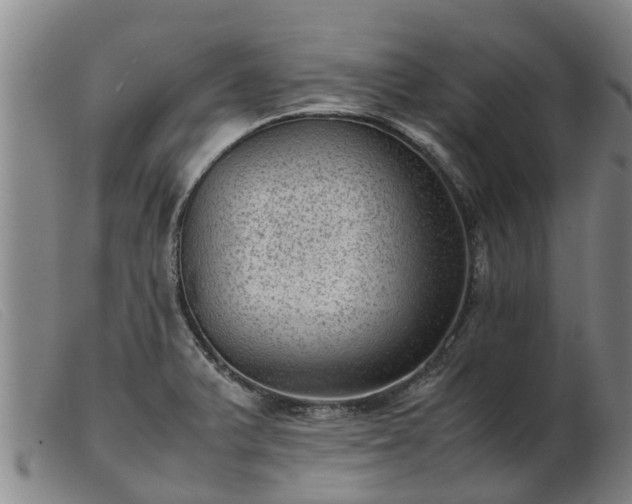 X0000103411375200809191535