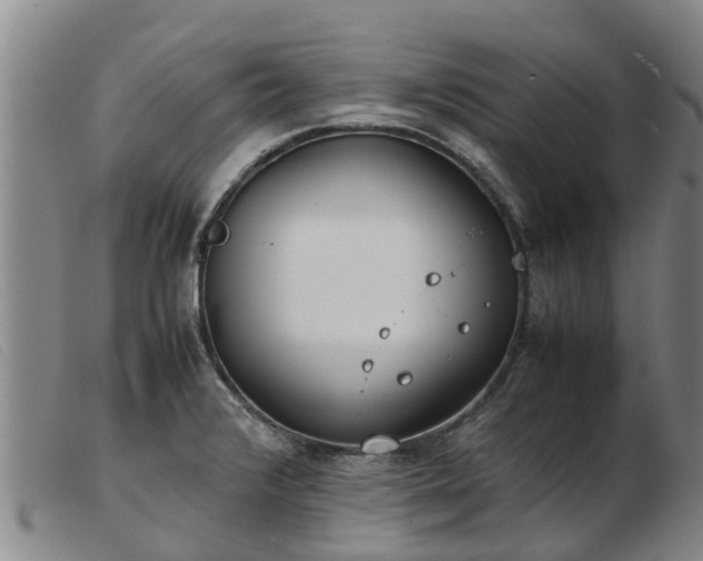 X0000103411376200809191535