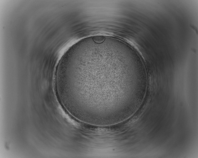 X0000103411379200809191535