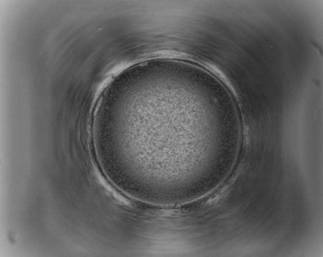 X0000103411381200809191535