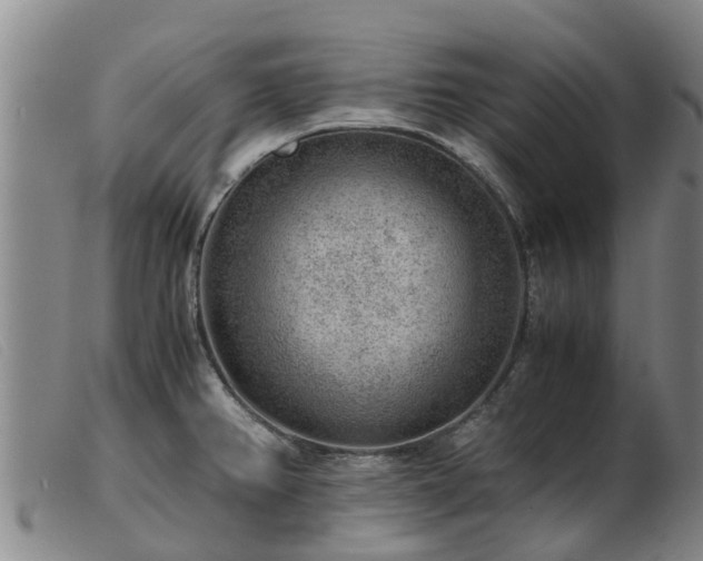 X0000103411382200809191535