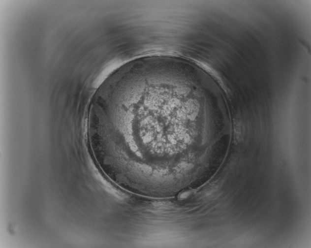 X0000103411383200809191535