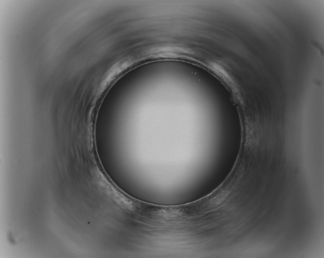 X0000103411384200809191535