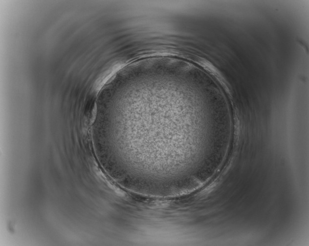 X0000103411385200809191535