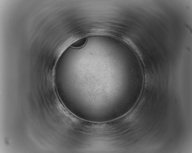 X0000103411386200809191535