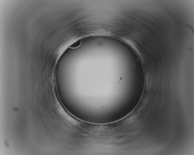 X0000103411387200809191535