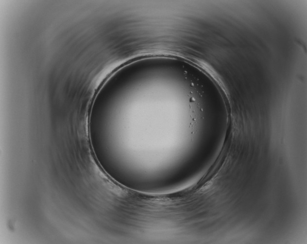 X0000103411388200809191535